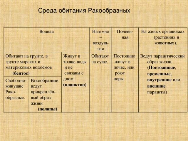 Заполните таблицу класс ракообразные