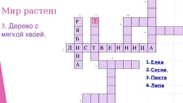 2. Р 1. Я 3. Л Б И С Н 4. Т А 10. В 5. Е 7. Н 8. 6. Н 9 И Ц А Мир растений 3.  Дерево с мягкой хвоей. Елка Сосна Пихта Липа 