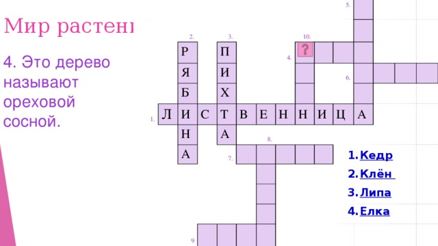 2. Р 1. Я 3. Л Б П И И С Х Н 4. Т 10. А В 5. А Е 7. Н 8. Н 6. 9 И Ц А Мир растений 4. Это дерево называют ореховой сосной. Кедр Клён Липа Елка 