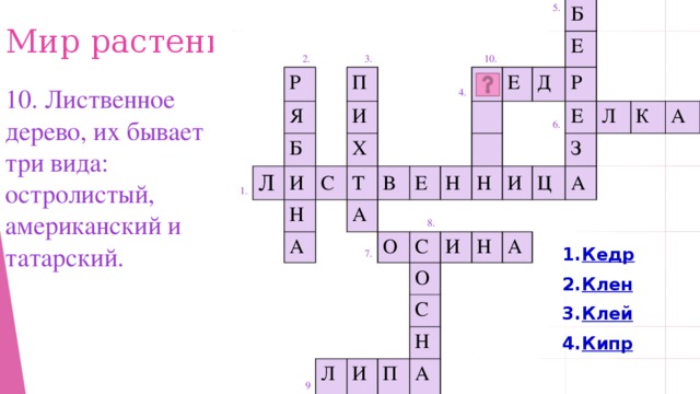 2. Р 1. Я 3. Л Б П И И Х С Н 4. Т А 10. В К А 5. Е 7. Е Б Н 8. О Д Е 6. Р С Н 9 И И О Е Л Л З С Ц И Н А К А Н П А А Мир растений 10. Лиственное дерево, их бывает три вида: остролистый, американский и татарский. Кедр Клен Клей Кипр  