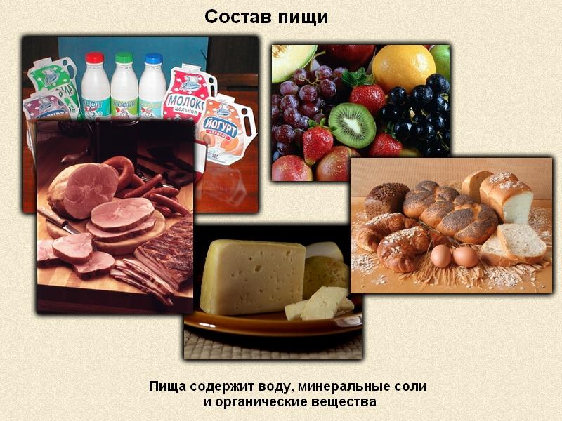 Значение пищи. Состав пищи. Питательные вещества продуктов. Питательные вещества в продуктах. Органические питательные вещества.