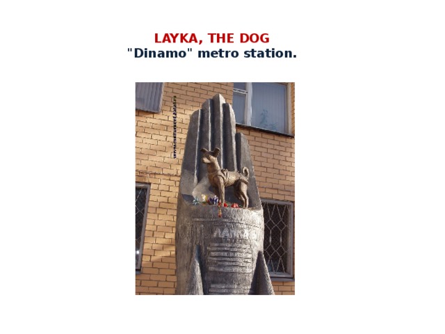 LAYKA, THE DOG  