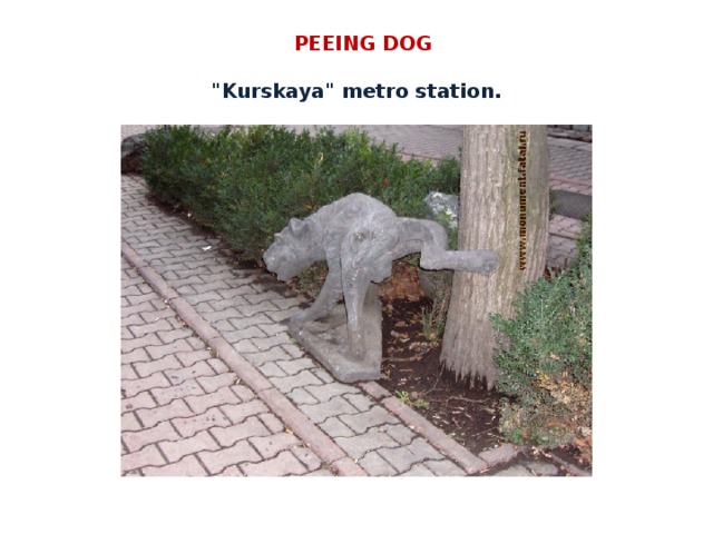   PEEING DOG   
