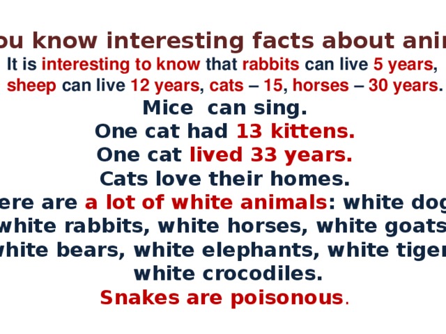 Do you know interesting facts about animals? It is interesting to know that rabbits can live 5 years , sheep can live 12 years , cats – 15 , horses – 30 years . Mice can sing. One cat had 13 kittens. One cat lived 33 years. Cats love their homes. There are a lot of white animals : white dogs, white rabbits, white horses, white goats,  white bears, white elephants, white tigers,  white crocodiles. Snakes are poisonous . 