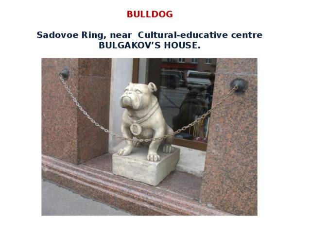 BULLDOG    Sadovoe Ring, near Cultural-educative centre BULGAKOV’S HOUSE. 