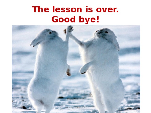 The lesson is over.  Good bye! 