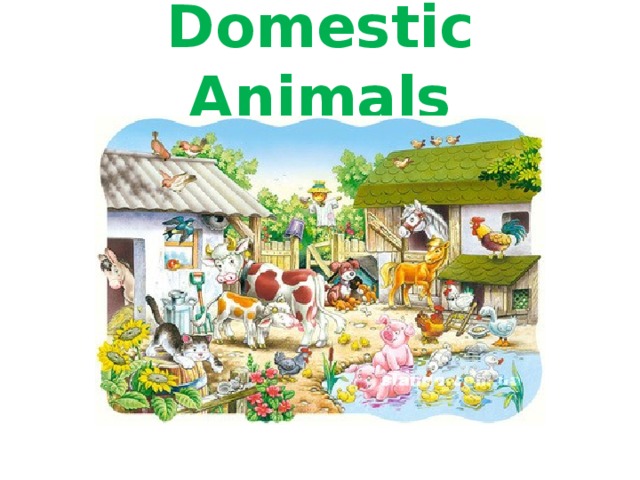 Domestic Animals 