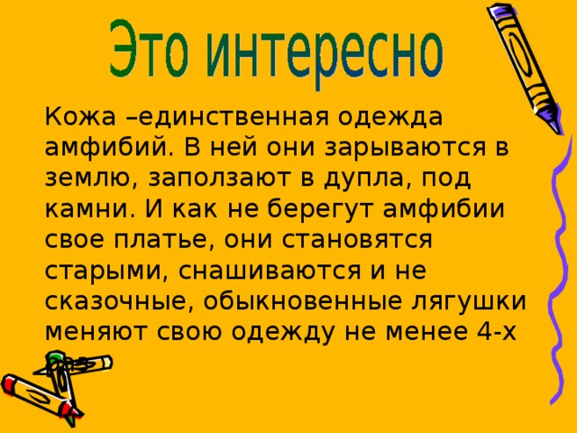 Кожа –единственная одежда амфибий. В ней они зарываются в землю, заползают в дупла, под камни. И как не берегут амфибии свое платье, они становятся старыми, снашиваются и не сказочные, обыкновенные лягушки меняют свою одежду не менее 4-х раз  