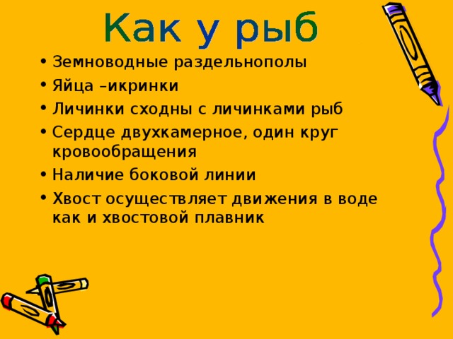 Земноводные раздельнополы Яйца –икринки Личинки сходны с личинками рыб Сердце двухкамерное, один круг кровообращения Наличие боковой линии Хвост осуществляет движения в воде как и хвостовой плавник  