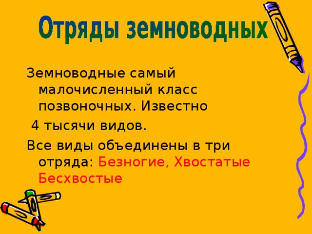 Земноводные самый малочисленный класс позвоночных. Известно  4 тысячи видов. Все виды объединены в три отряда: Безногие, Хвостатые Бесхвостые  