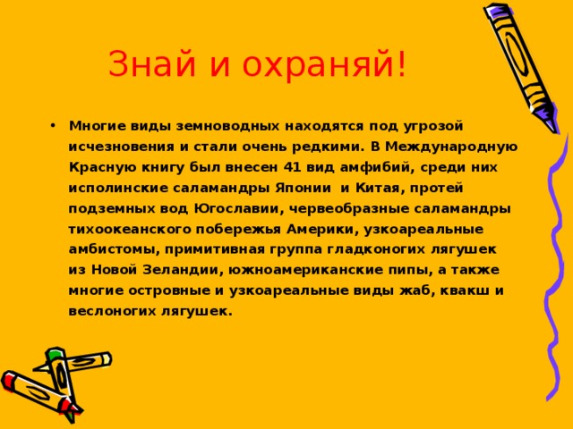 Знай и охраняй! Многие виды земноводных находятся под угрозой исчезновения и стали очень редкими. В Международную Красную книгу был внесен 41 вид амфибий, среди них исполинские саламандры Японии и Китая, протей подземных вод Югославии, червеобразные саламандры тихоокеанского побережья Америки, узкоареальные амбистомы, примитивная группа гладконогих лягушек из Новой Зеландии, южноамериканские пипы, а также многие островные и узкоареальные виды жаб, квакш и веслоногих лягушек.   