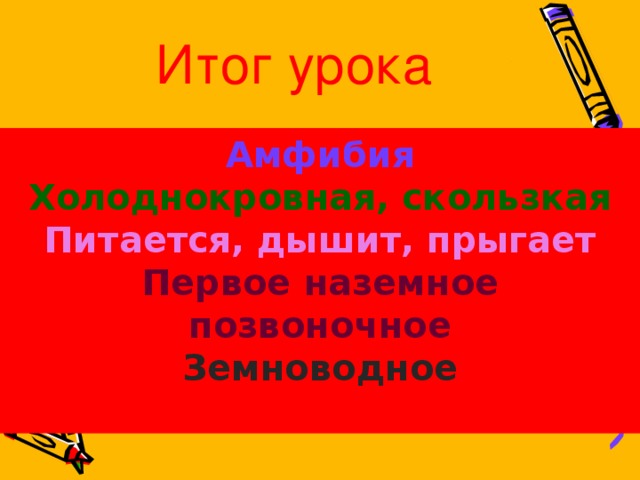 Итог урока Амфибия Холоднокровная, скользкая Питается, дышит, прыгает Первое наземное позвоночное Земноводное Земноводное 