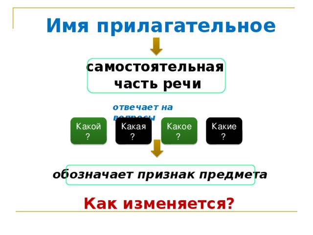 Имя прилагательное с амостоятельная часть речи о твечает на вопросы Какой? Какая? Какое? Какие? обозначает признак предмета Как изменяется? 