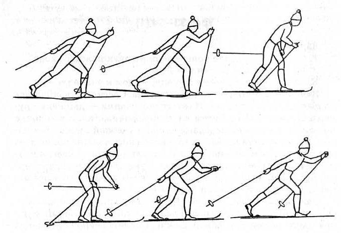 Легкий ход. Попеременный двухшажный классический ход на лыжах. Методика обучения попеременному двухшажному ходу. Техника попеременного двухшажного хода на подъем. Методика обучения попеременного двухшажного классического хода.