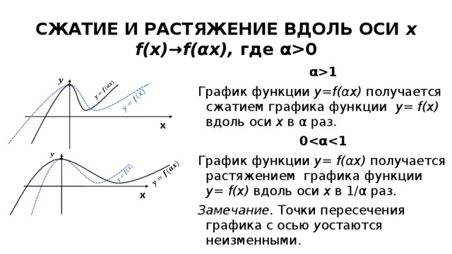 Растяжение и сжатие графиков функций презентация