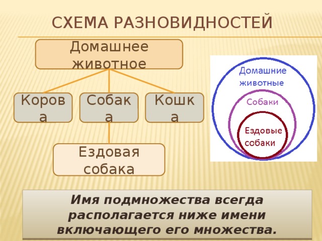 Схема разновидностей Домашнее животное Корова Собака Кошка Ездовая собака Имя подмножества всегда располагается ниже имени включающего его множества. 