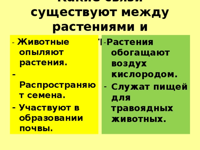 Какие связи существуют между. Какие связи между животными и растениями 3 класс. Взаимосвязь растений и животных. Взаимодействие между растениями и животными. Взаимосвязь между растениями и животными.