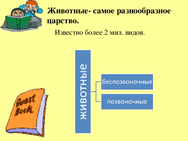 Животные- самое разнообразное царство.  Известно более 2 мил. видов.  