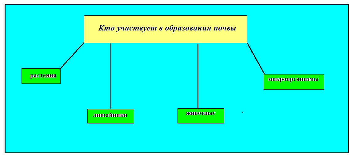 Схема почва образования
