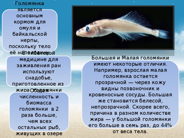 Относительный характер приспособленности. Голомянка байкальская описание. Приспособленность и относительность животных. Что такое относительность приспособленности к среде обитания. Относительность приспособленности.