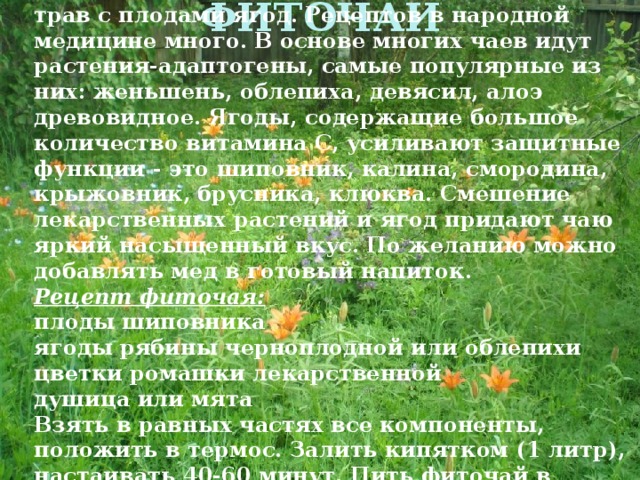 Готовится  витаминный чай чаще всего из трав с плодами ягод. Рецептов в народной медицине много. В основе многих чаев идут растения-адаптогены, самые популярные из них: женьшень, облепиха, девясил, алоэ древовидное. Ягоды, содержащие большое количество витамина С, усиливают защитные функции - это шиповник, калина, смородина, крыжовник, брусника, клюква. Смешение лекарственных растений и ягод придают чаю яркий насыщенный вкус. По желанию можно добавлять мед в готовый напиток. Рецепт фиточая: плоды шиповника ягоды рябины черноплодной или облепихи цветки ромашки лекарственной душица или мята Взять в равных частях все компоненты, положить в термос. Залить кипятком (1 литр), настаивать 40-60 минут. Пить фиточай в  теплом виде в период гриппоризации три раза в день до еды. 