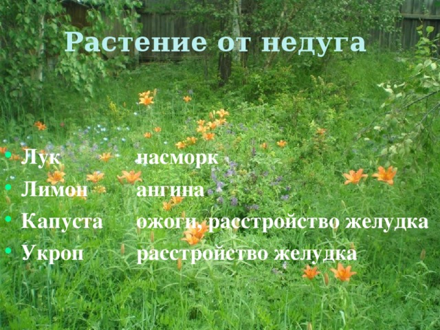 Лук  насморк Лимон  ангина Капуста  ожоги, расстройство желудка Укроп  расстройство желудка 