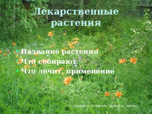 Лекарственные растения  Название растения Что собирают Что лечит, применение хорошо — отлично; трудно — легко) 