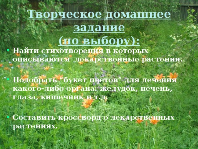 Творческое домашнее задание  (по выбору): Найти стихотворения в которых описываются лекарственные растения.  Подобрать “ букет цветов ” для лечения какого-либо органа: желудок, печень, глаза, кишечник и т.д.  Составить кроссворд о лекарственных растениях. 