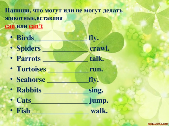 Crawl spider fly bird jump rabbit swim. 5 Напиши что могут или не могут делать животные. Напиши что умеют делать животные. Напиши что умеют и не умеют делать животные. 5. Напиши , что могут или не могут делать животные, вставляя.