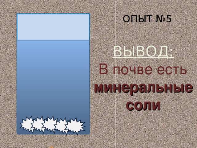 ОПЫТ №5 ВЫВОД: В почве есть минеральные соли  