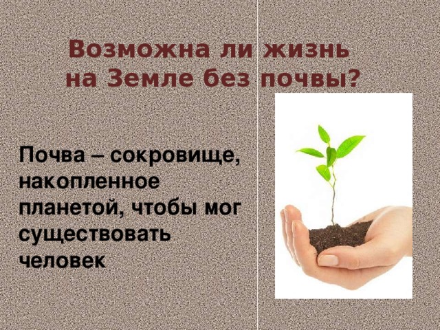 Возможна ли жизнь на Земле без почвы? Почва – сокровище, накопленное планетой, чтобы мог существовать человек 