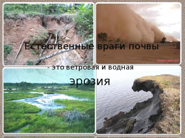 Естественные враги почвы - это ветровая и водная эрозия 