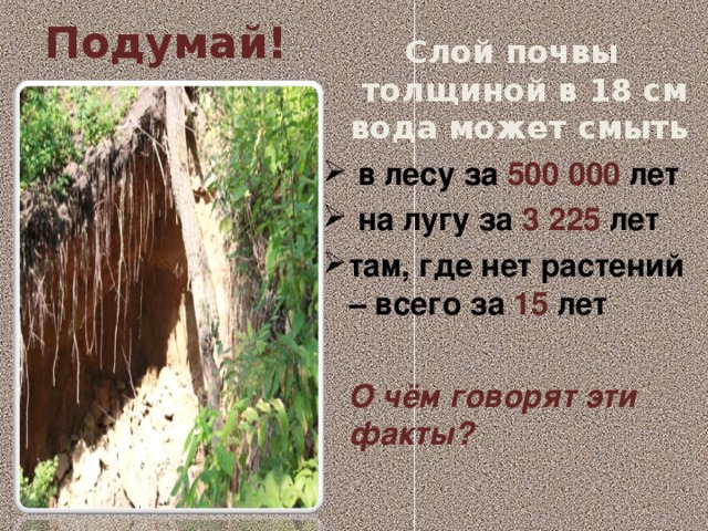 Подумай! Слой почвы толщиной в 18 см вода может смыть  в лесу за 500 000 лет  на лугу за 3 225 лет там, где нет растений – всего за 15 лет   О чём говорят эти факты?  