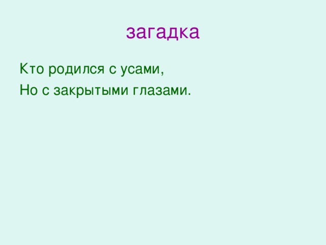 Кто родится с усами. Кто родился с усами загадка. Загадка кто родился с усами но с закрытыми глазами. Загадка кто родится с усами. Ответ на загадку кто родился с усами.