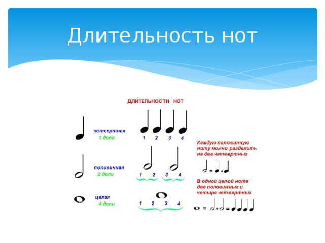 Запись нот. Длительность нот сольфеджио 2 класс. Длительности ритм размер паузы сольфеджио. Длительности нот на нотном стане. Как считать Ноты.