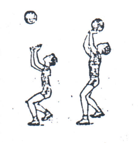 Верхний рисунок 7. Передача мяча над собой. Верхняя передача мяча над собой. Техника верхней передачи мяча над собой. Верхняя передача над собой.