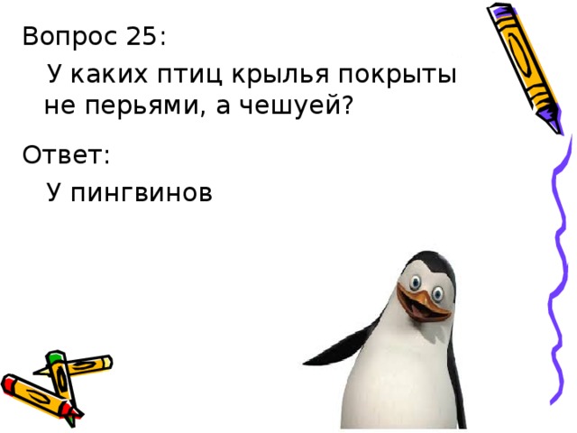 Ответ:  У пингвинов 