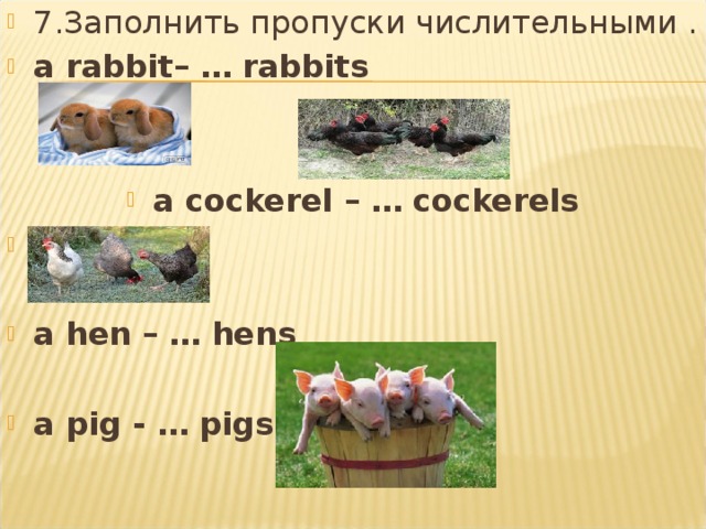 7.Заполнить пропуски числительными . a rabbit – … rabbits    a cockerel – … cockerels   a hen – … hens  a pig - … pigs    