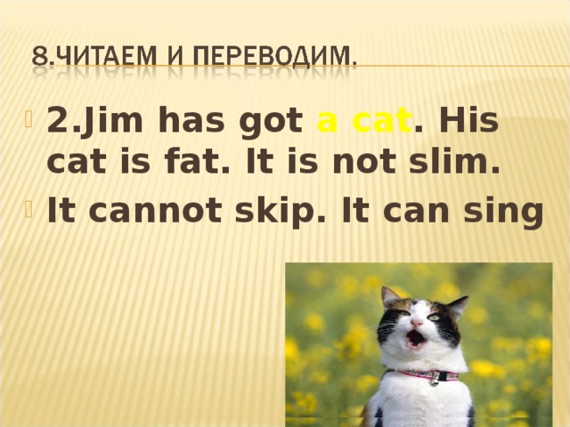 Перевод текста cats 8 класс. Jim has got a Cat перевод. My Cat have или has. My Cat have или has got. Tim has got a Cat.