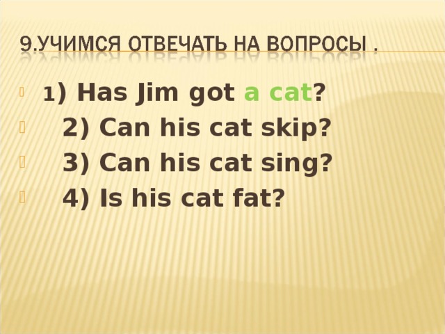   1 ) Has Jim got a cat ?  2) Can his cat skip?  3) Can his cat sing?  4) Is his cat fat? 