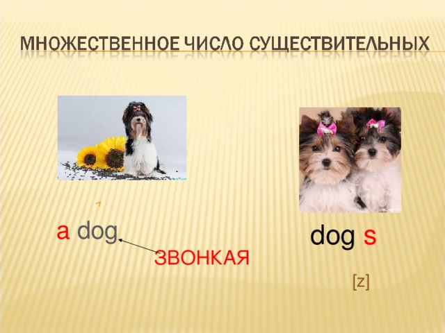 а dog dog s ЗВОНКАЯ [z] 