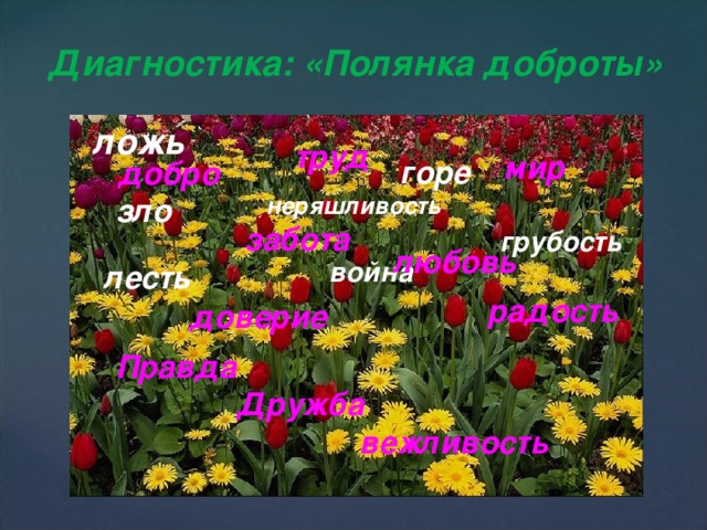 Диагностика: «Полянка доброты» ложь труд  мир  горе добро зло неряшливость забота грубость любовь война лесть радость доверие Правда  Дружба  вежливость  