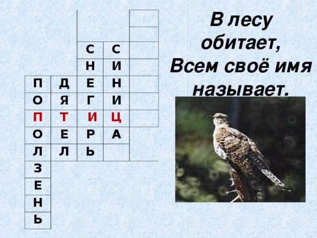 В лесу обитает,  Всем своё имя называет. П С О Д С Н П Я Е И Т Н Г О Л И  И Е З Л Ц Р   Е А Ь   Н   Ь   