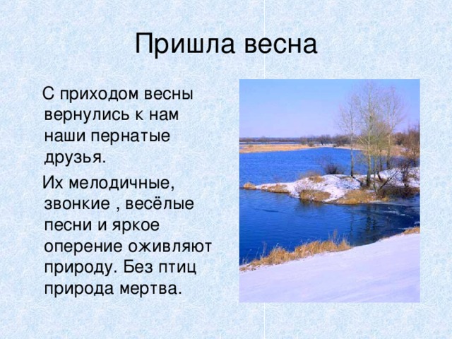 Пришла весна  С приходом весны вернулись к нам наши пернатые друзья.  Их мелодичные, звонкие , весёлые песни и яркое оперение оживляют природу. Без птиц природа мертва. 