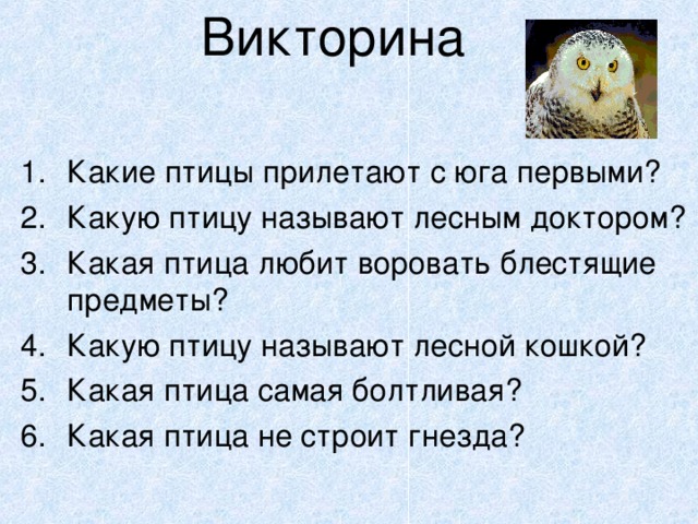 Викторина о птицах презентация