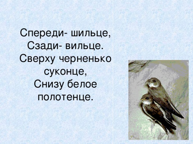 Спереди- шильце,  Сзади- вильце.  Сверху черненько суконце,  Снизу белое полотенце. 