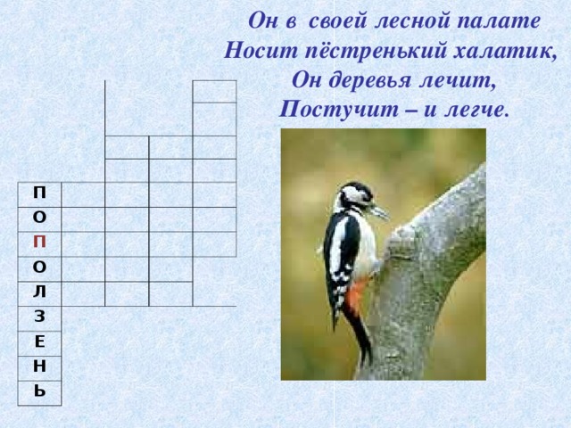 Он в своей лесной палате  Носит пёстренький халатик,  Он деревья лечит,  Постучит – и легче . П О П О Л З   Е   Н   Ь   