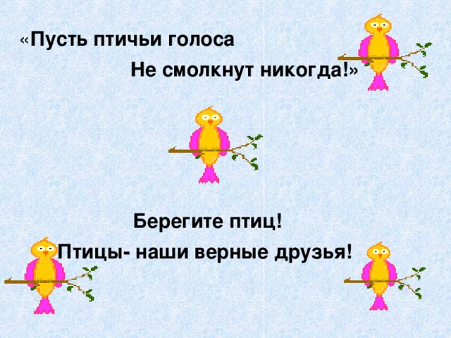  « Пусть птичьи голоса  Не смолкнут никогда!»     Берегите птиц! Птицы- наши верные друзья!  