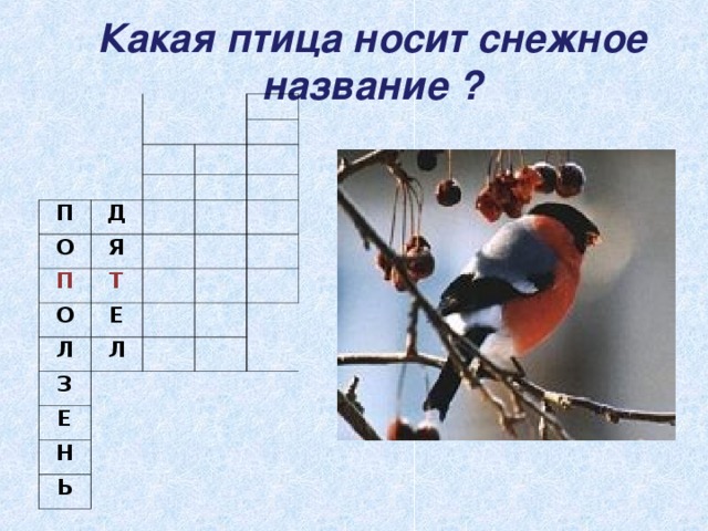 Какая птица носит снежное название ? П Д О Я П О Т Л Е Л З   Е   Н   Ь   