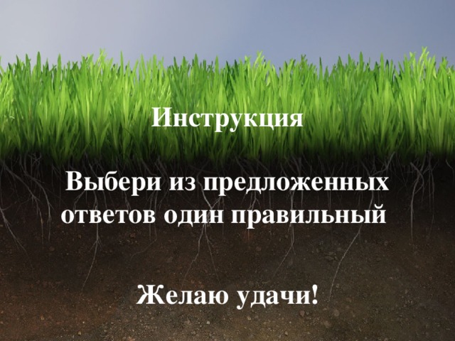 Инструкция Выбери из предложенных ответов один правильный  Желаю удачи! 